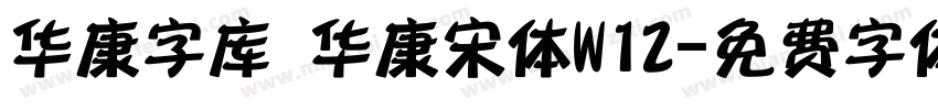 华康字库 华康宋体W12字体转换